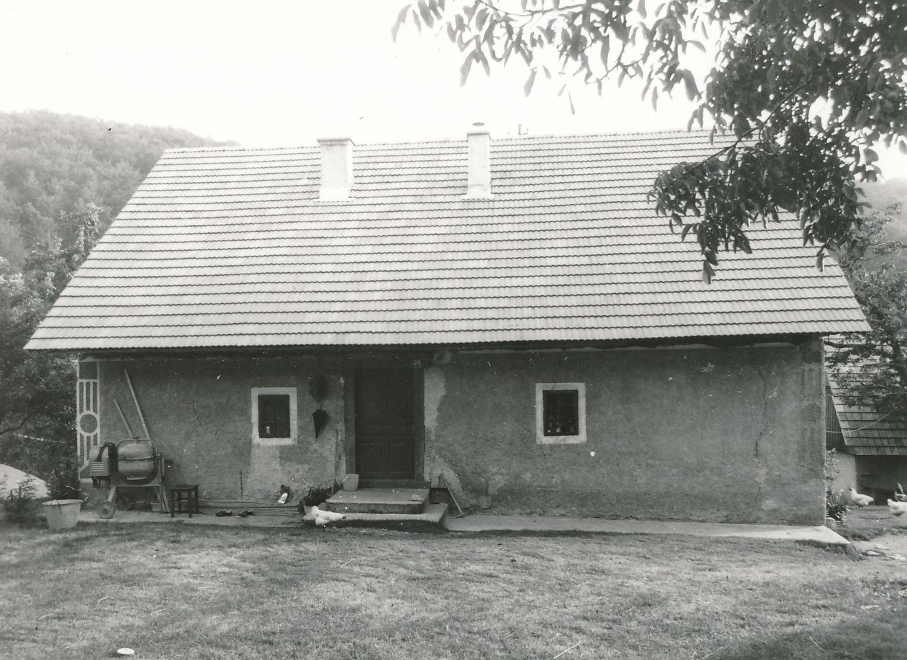 eika image